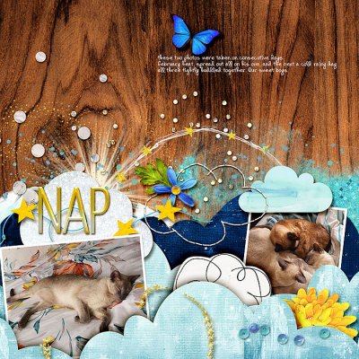 Cat nap