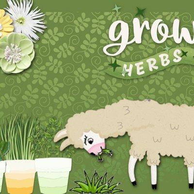grow herbs