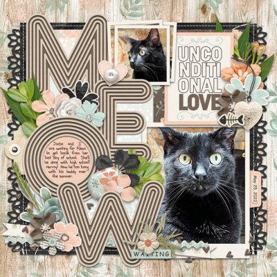 Meow
