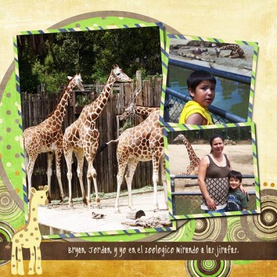 Giraffes (left)
