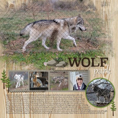 Wolf
