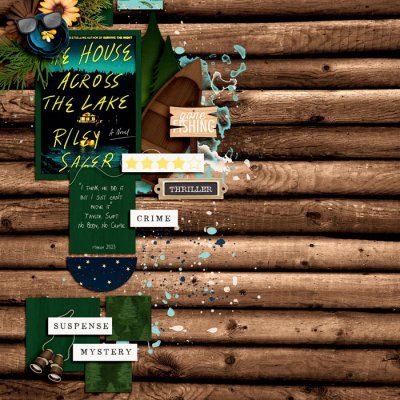 The House Across the Lake book review