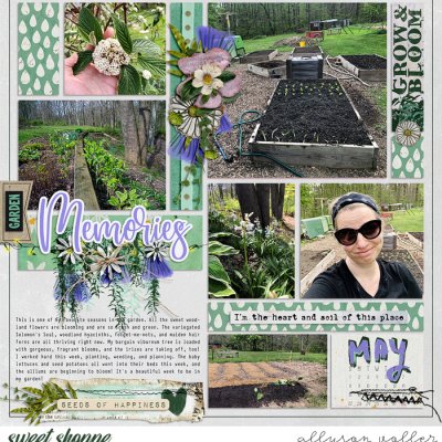 2022 Garden notes week 19 01