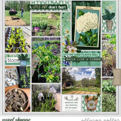 2022 Garden notes week 19 02