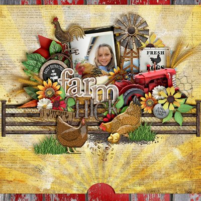 Farm Chick