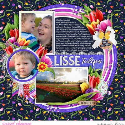 Lisse Tulips