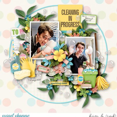 Cleaning in Progress