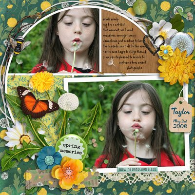 Blowing Dandelion Wishes