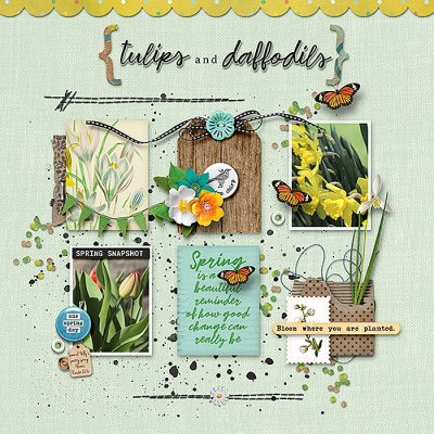tulips and daffodils