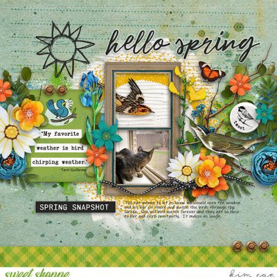 Bird Chirping Weather
