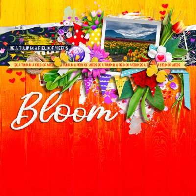 Bloom
