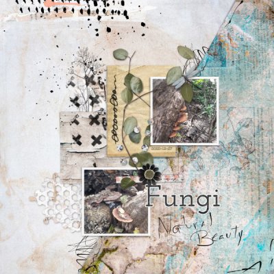 Fungi