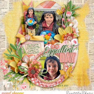 An Eggcellent day