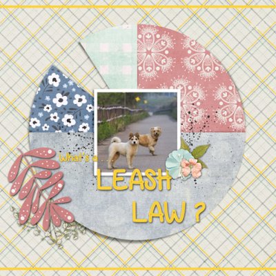 What's a...LEASH LAW?
