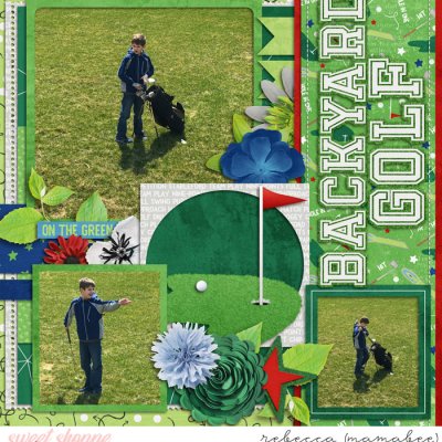2017_4_8-backyard-golf-cschneider-DTF9left
