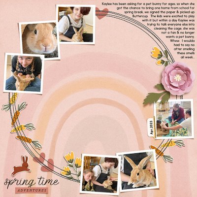 bunny time