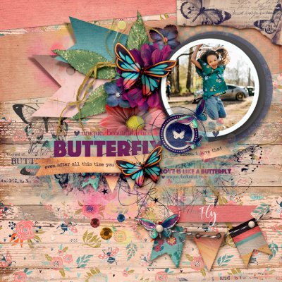 Butterfly