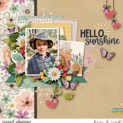 Hello Sunshine