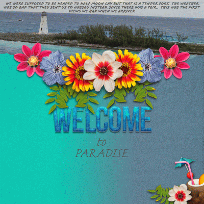 Welcome to Paradise