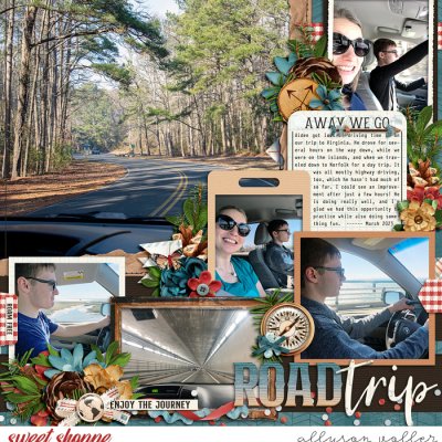 Road Trip