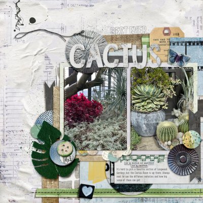 cactus