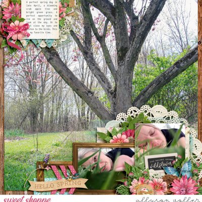 Hello Spring 2023