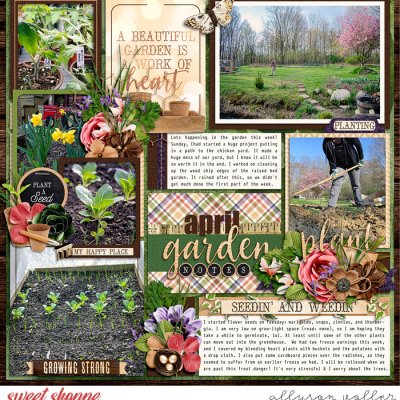 2023 Garden notes week 17 left