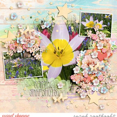 Spring Snapshots