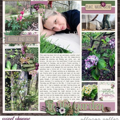 2023 Garden notes week 16 left