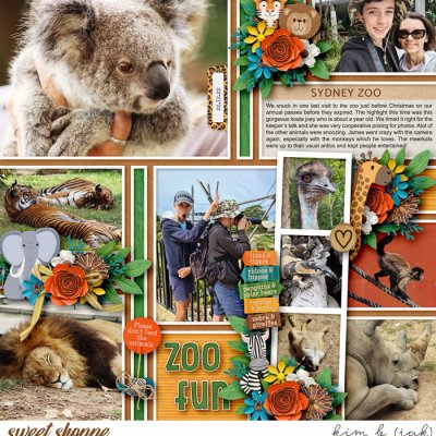 Zoo Fun
