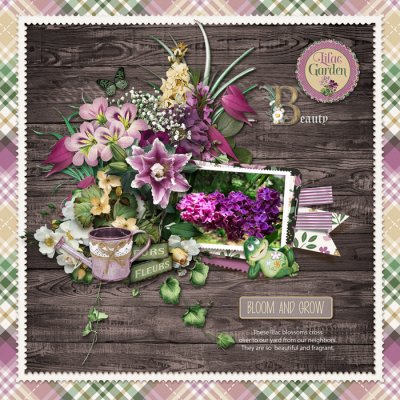 Lilacs