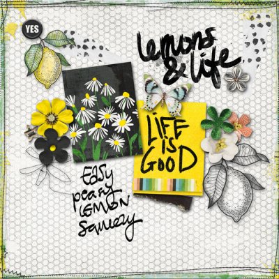About Lemons and Life