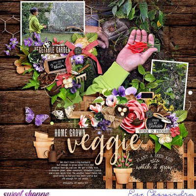 veggie garden
