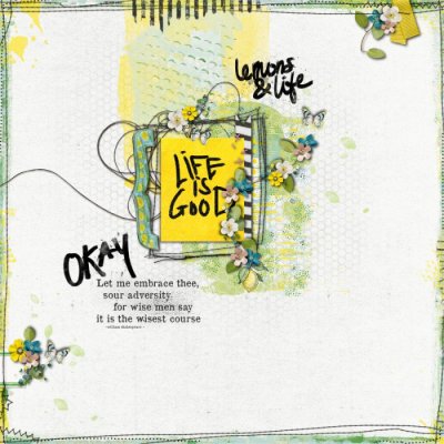 life & lemons