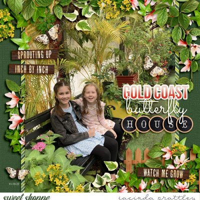 Butterfly House