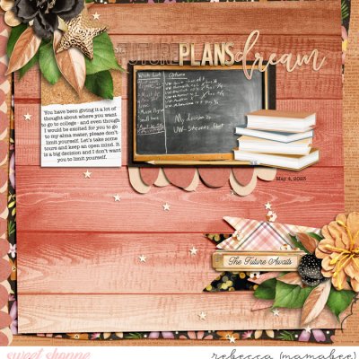 Future plans dream