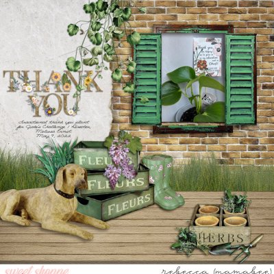 Thank you plant