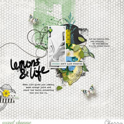 Lemons & Life