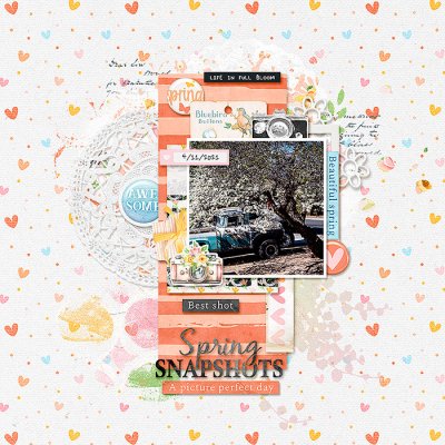 Spring Snapshots