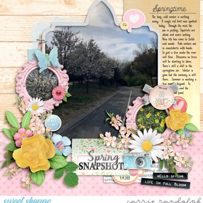 Spring Snapshots
