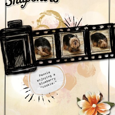 Snapshots