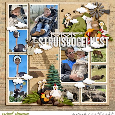 t Struisvogelnest