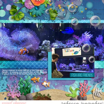 Fish at BFK
