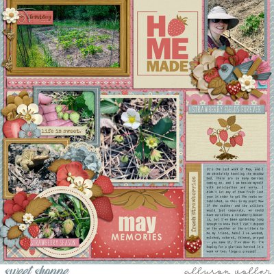 May Strawberry Memories