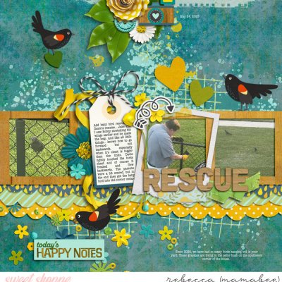 Bird Rescue