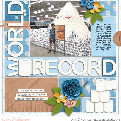 World Record