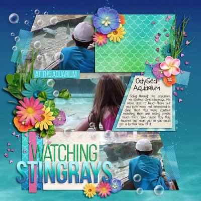 Stingrays