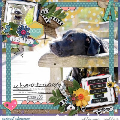 i heart dogs