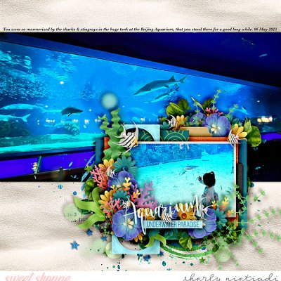 Aquarium