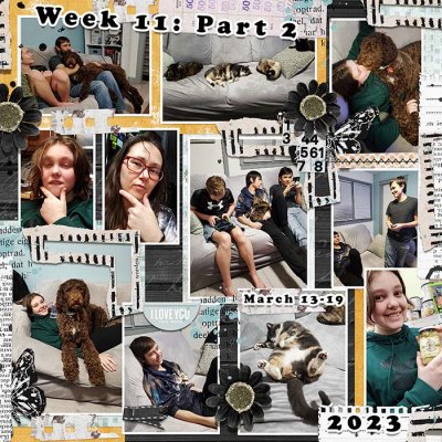P52: Week 11 Part 2